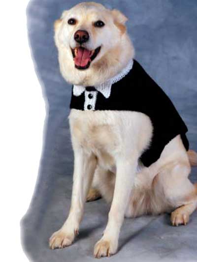 Tuxedo and Tails Dog Sweater photo