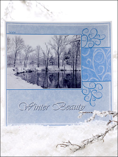 Winter Beauty photo