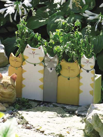 Cat Planter photo