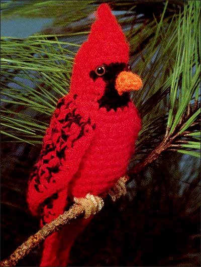 Cardinal photo