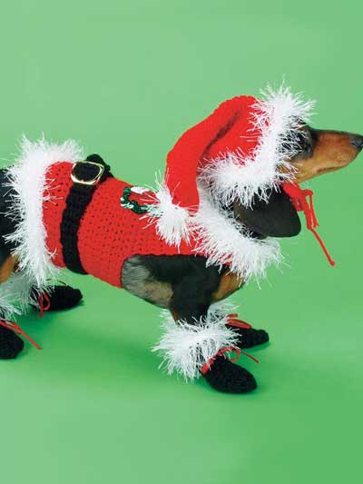 Santa Dog Costume photo