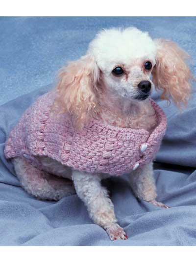 Doggie Duds - Pretty in Pink photo
