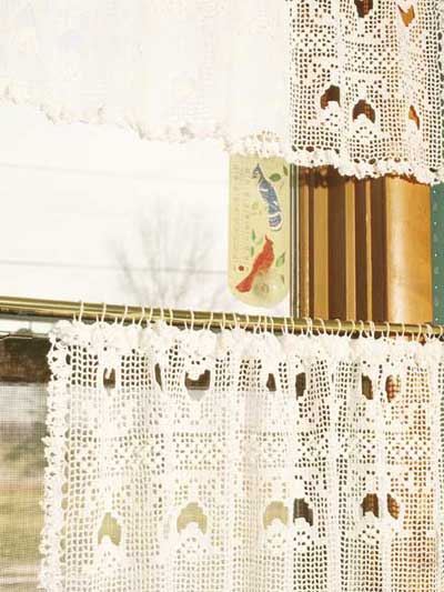 Tulip Lace Curtain and Valance photo
