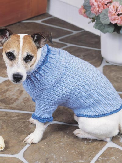 Canine Comfort Dog Sweater photo